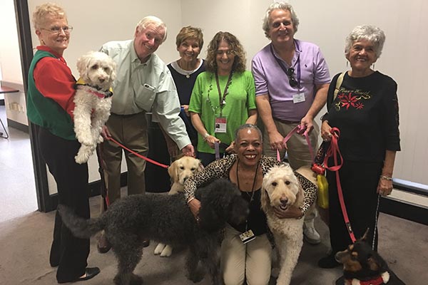 dogs and their handlers
